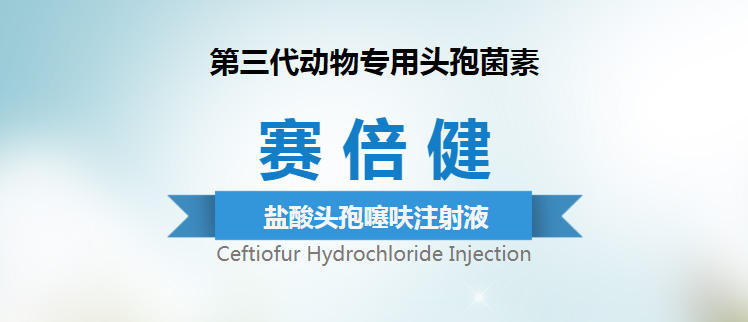 24085454238703.png 1.png