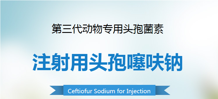 21115253569022.png 1.png