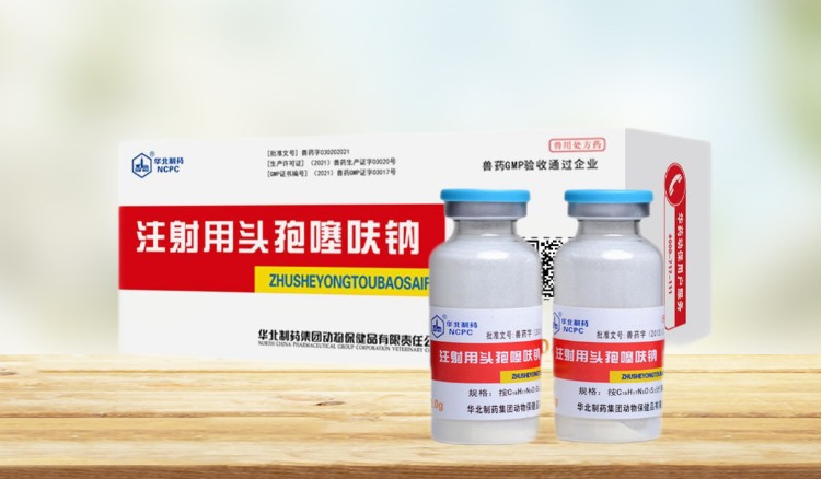 21115302822324.png 2.png