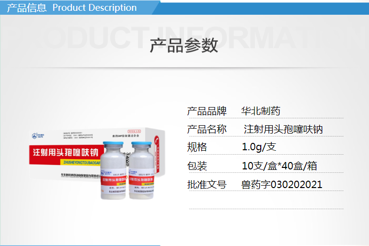 21115316655156.png 4.png