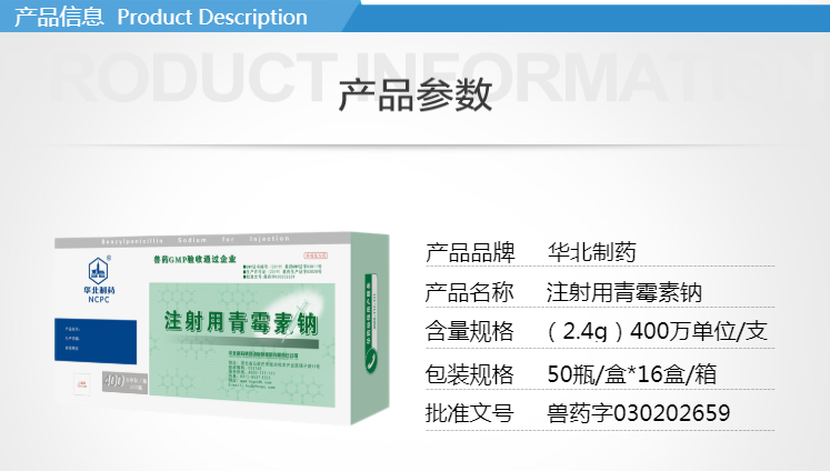 16142129526346.png 3.png