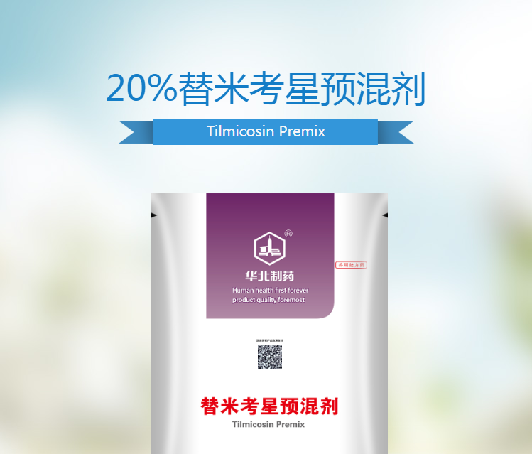 19120429538305.png 1.png