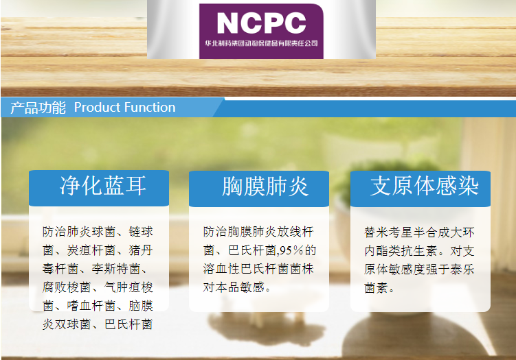 09154711756697.png t2.png