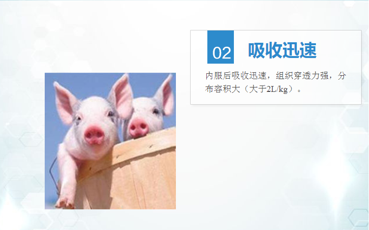 09154739687191.png t5.png