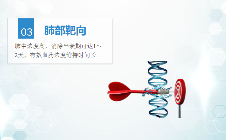 09154747331972.png t6.png