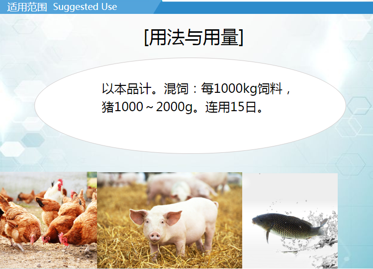 23142207136116.png 7.png