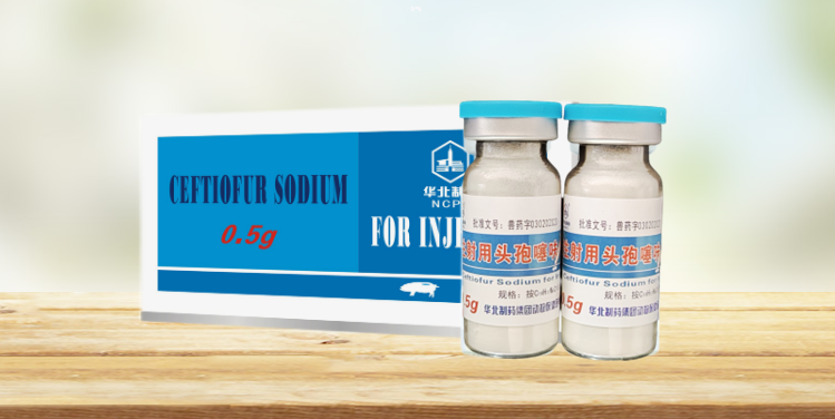 23122021979871.png 2.png