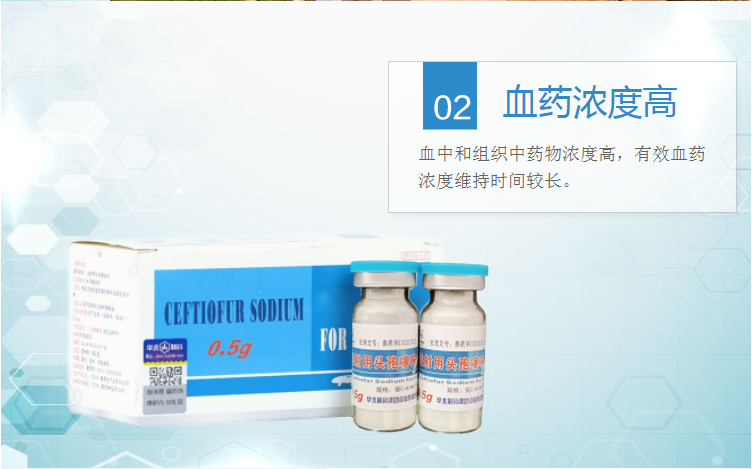 23122154955364.png 6.png