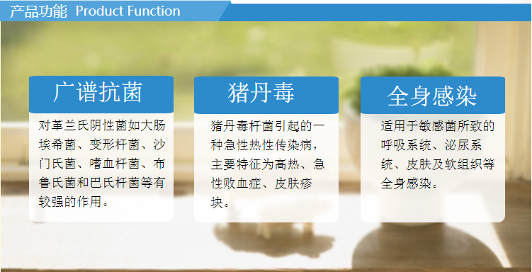 13143246943703.png 2.png