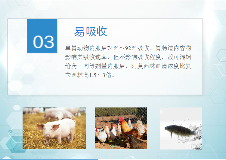 09093210564175.png 13141203123751_副本.png