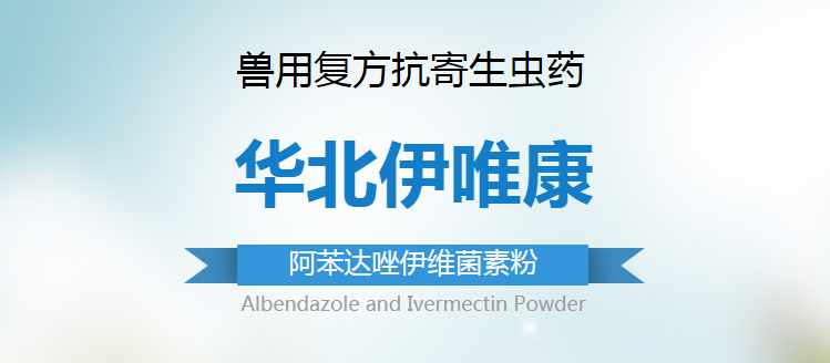 03154928706526.png 1.png