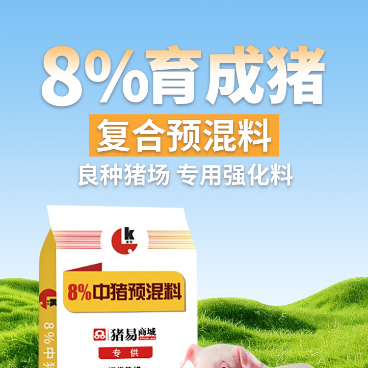 8%中豬_01.jpg