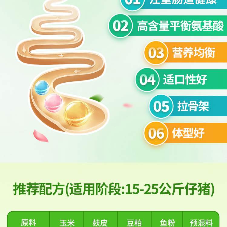 26102415565726.jpg 4%仔豬_01-05.jpg