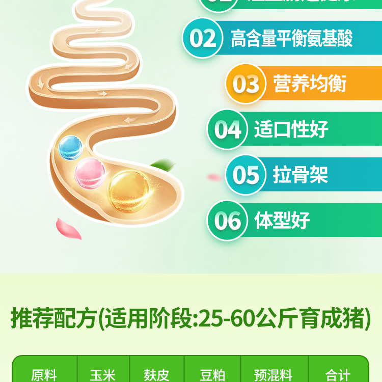 26102530965145.jpg 4%中豬_02-05.jpg