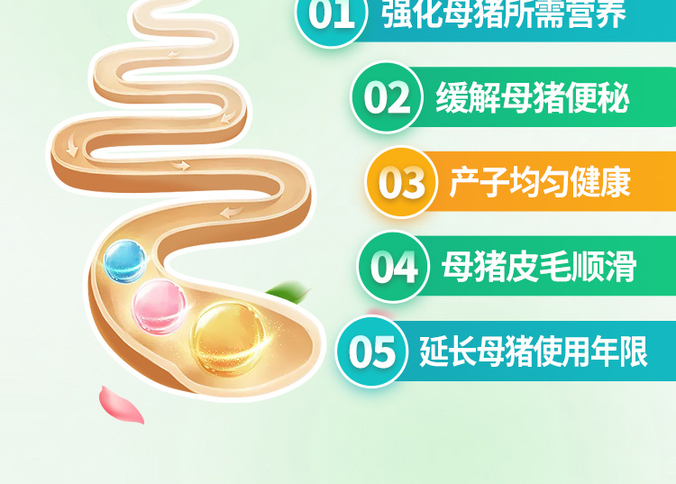 26102658713923.jpg 4%妊娠母豬_01-05.jpg