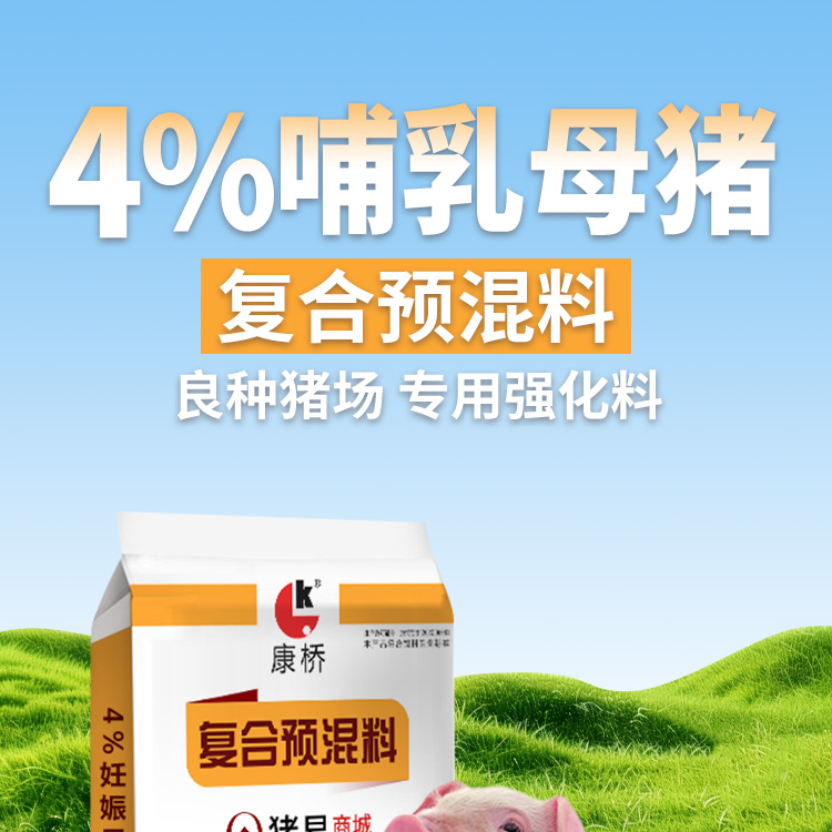 4%哺乳母豬_01.jpg