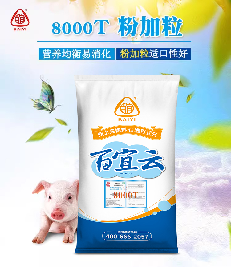 13153250623688.jpg 8000t 01.jpg